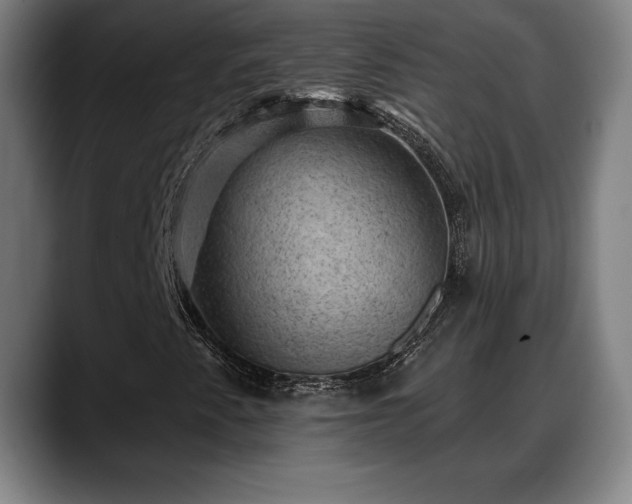 X0000088831345200706141513