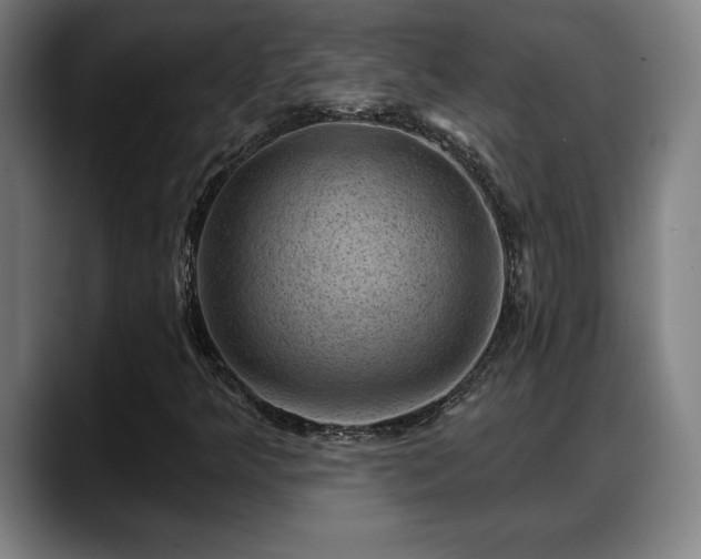 X0000088831349200706141513