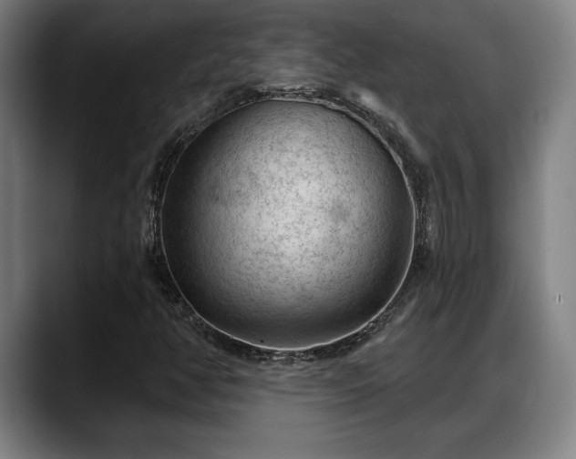 X0000088831350200706141513