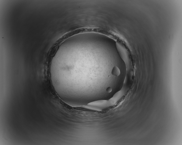 X0000088831352200706141513