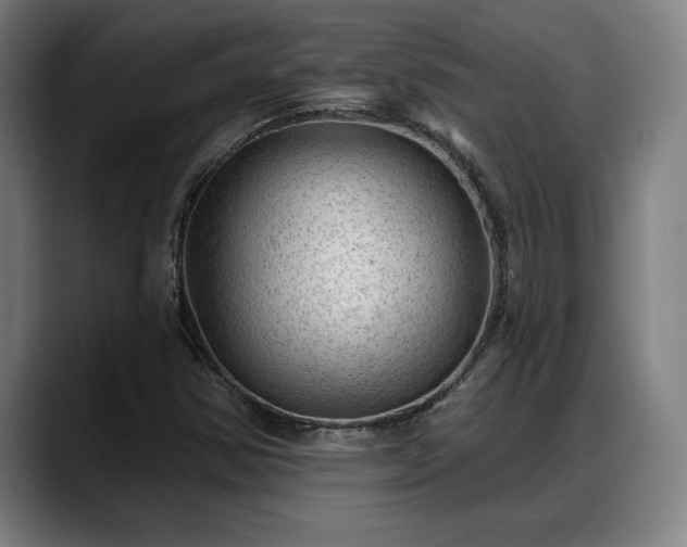 X0000088831354200706141513