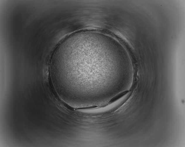 X0000088831355200706141513
