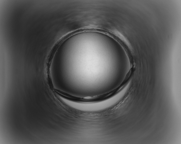 X0000088831356200706141513
