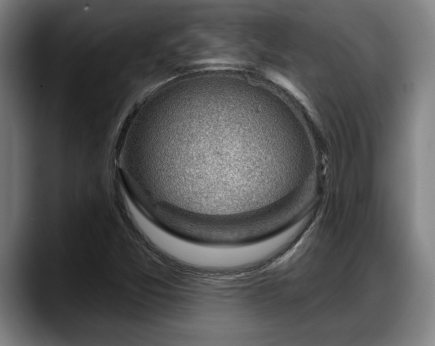 X0000088831357200706141513