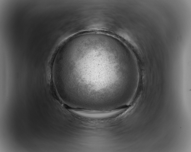 X0000088831358200706141513