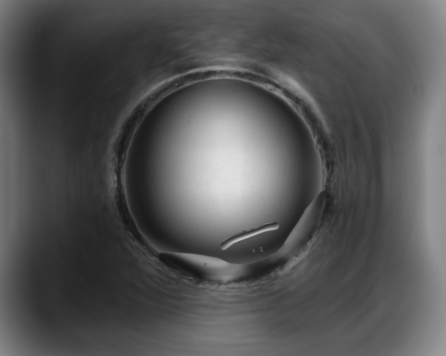 X0000088831360200706141513