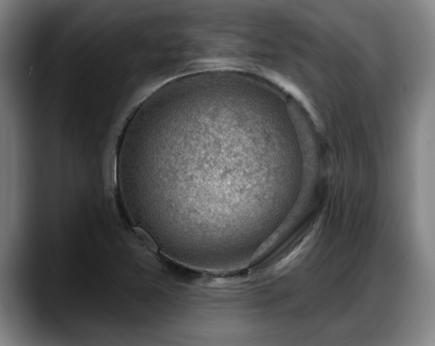 X0000088831365200706141513