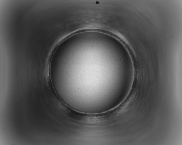 X0000088831366200706141513