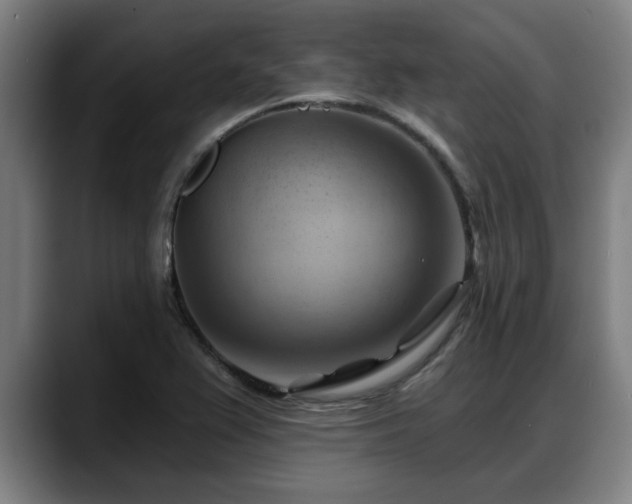 X0000088831367200706141513