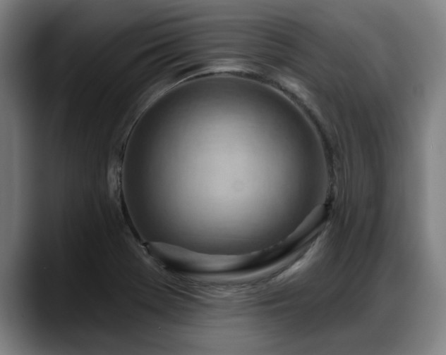 X0000088831369200706141513