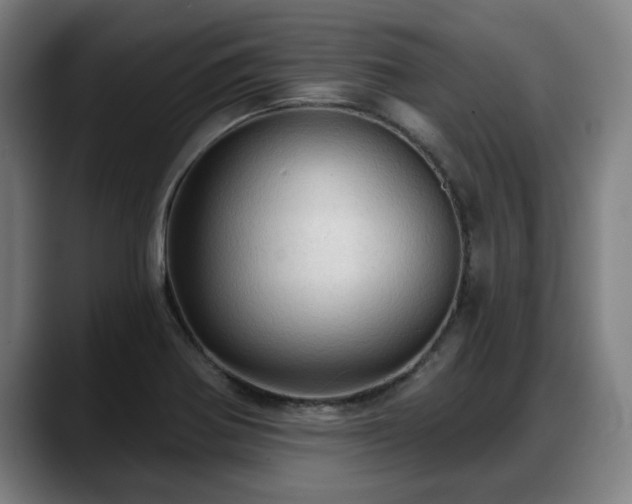 X0000088831370200706141513