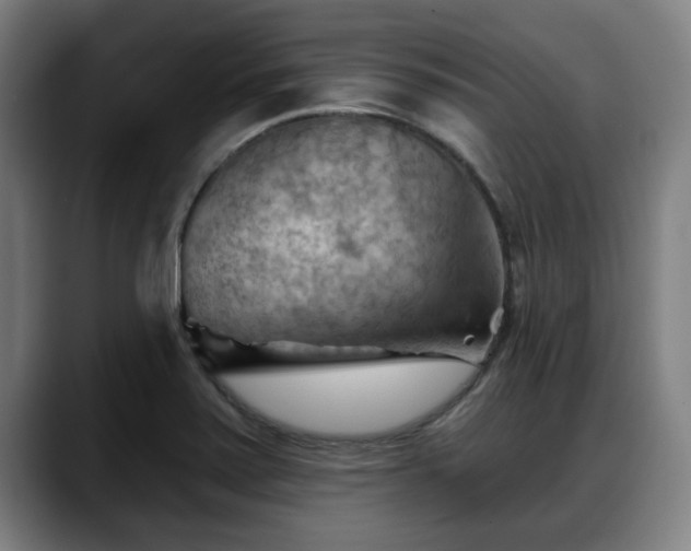 X0000088831371200706141513