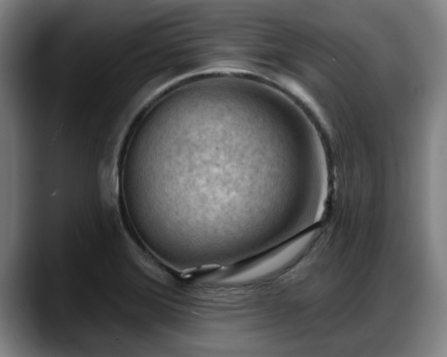 X0000088831372200706141513