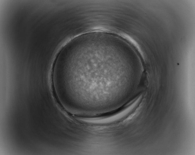 X0000088831373200706141513