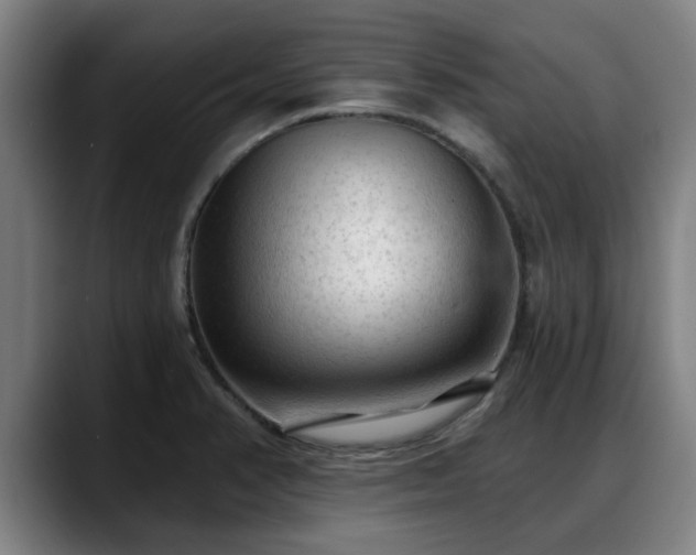 X0000088831374200706141513