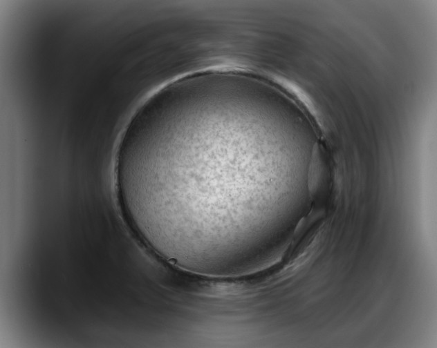 X0000088831375200706141513