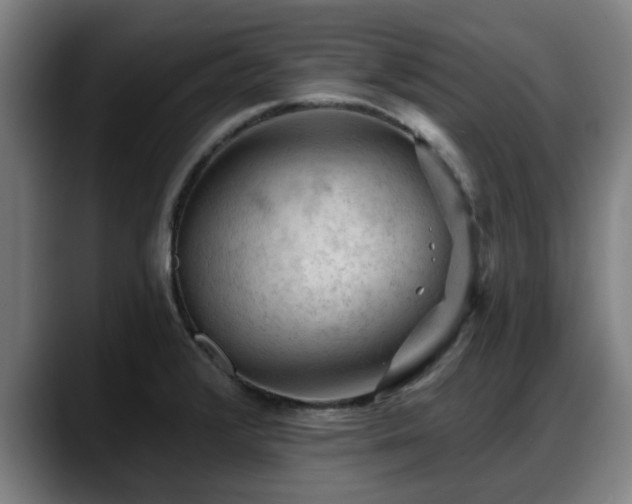 X0000088831376200706141513