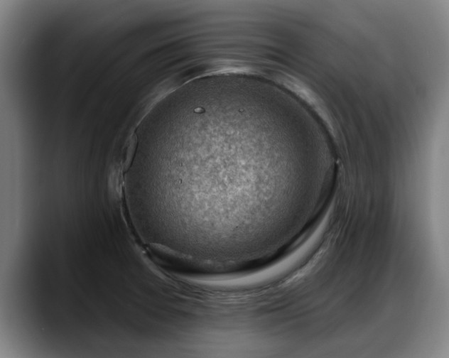 X0000088831377200706141513