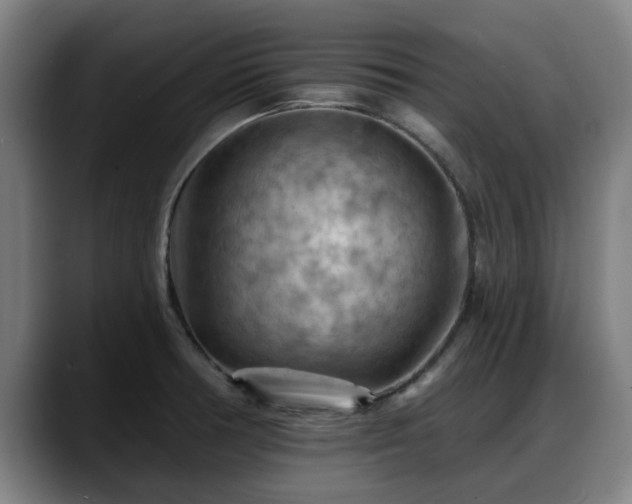 X0000088831378200706141513