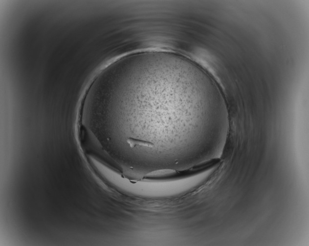 X0000088831379200706141513