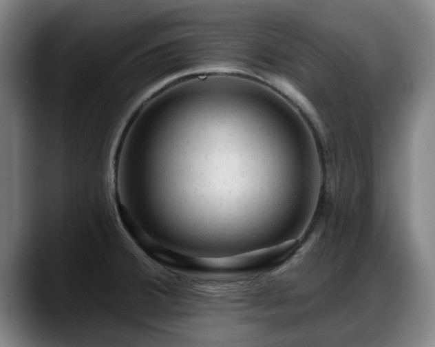 X0000088831380200706141513