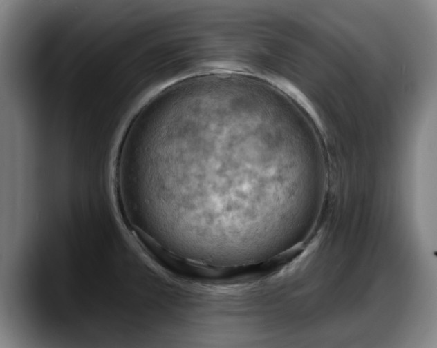 X0000088831381200706141513