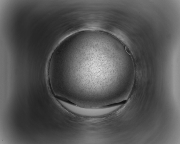 X0000088831382200706141513