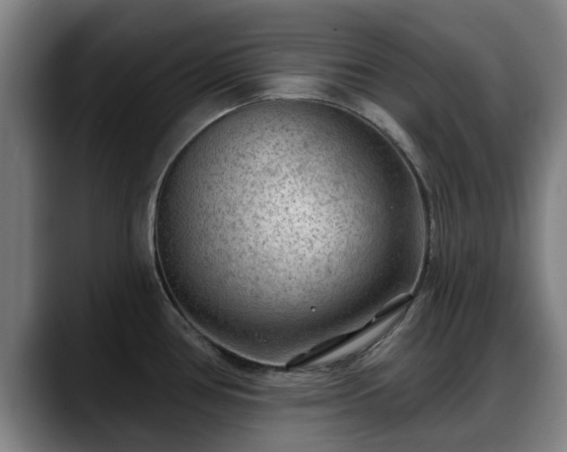 X0000088831386200706141513