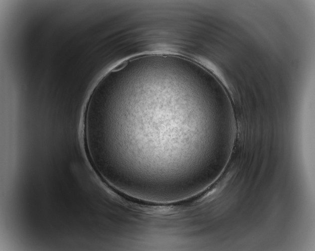 X0000088831387200706141513