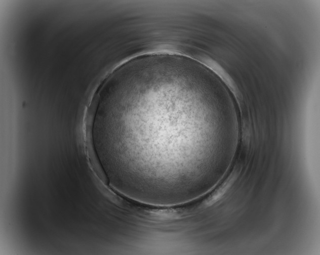 X0000088831388200706141513