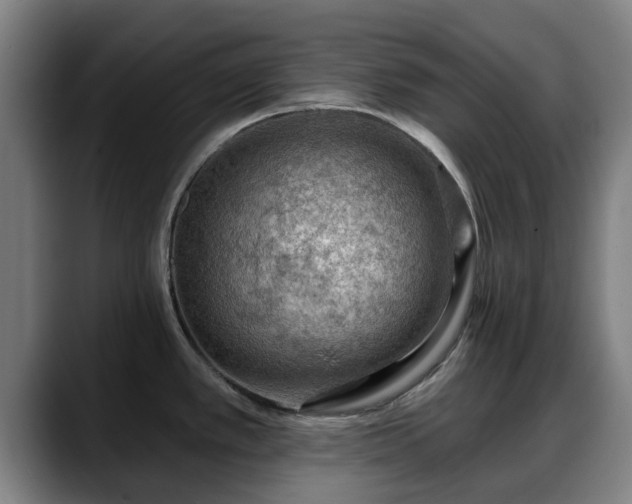 X0000088831389200706141512