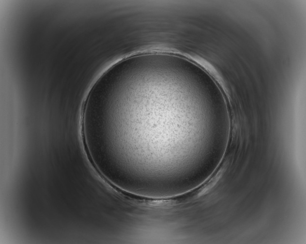 X0000088831390200706141512