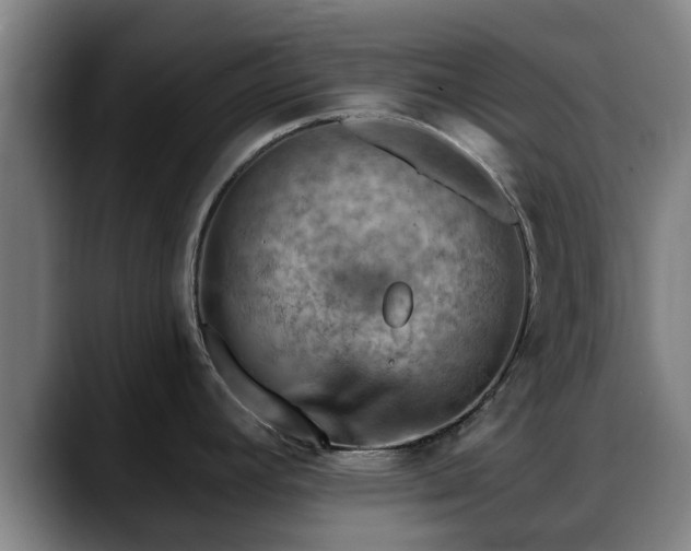 X0000088831392200706141512