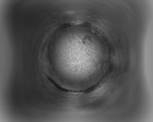 X0000088831393200706141512