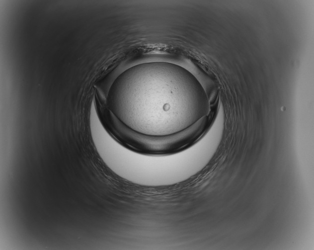X0000088831394200706141512