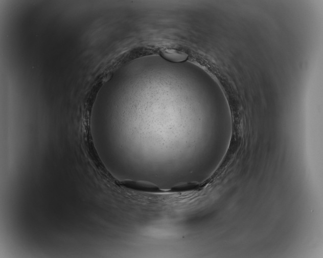 X0000088831397200706141512
