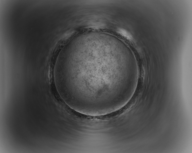 X0000088831398200706141512