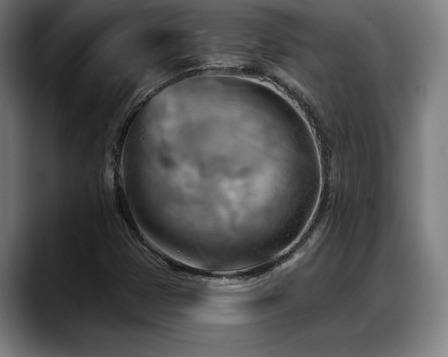 X0000088831401200706141512