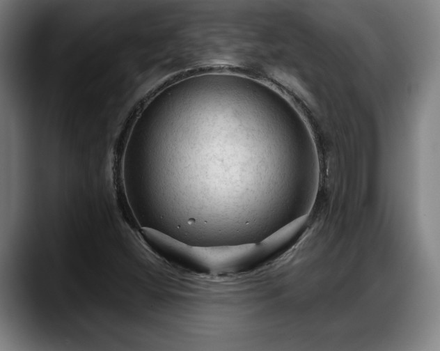 X0000088831404200706141512