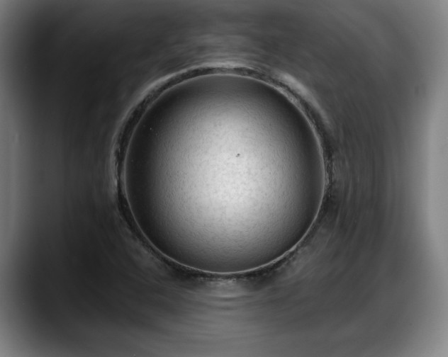 X0000088831408200706141512