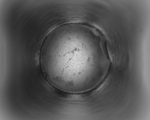 X0000088831409200706141512