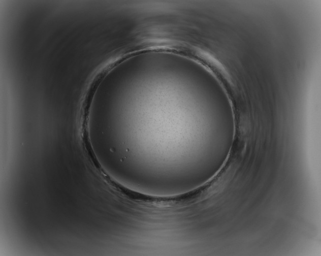 X0000088831411200706141512