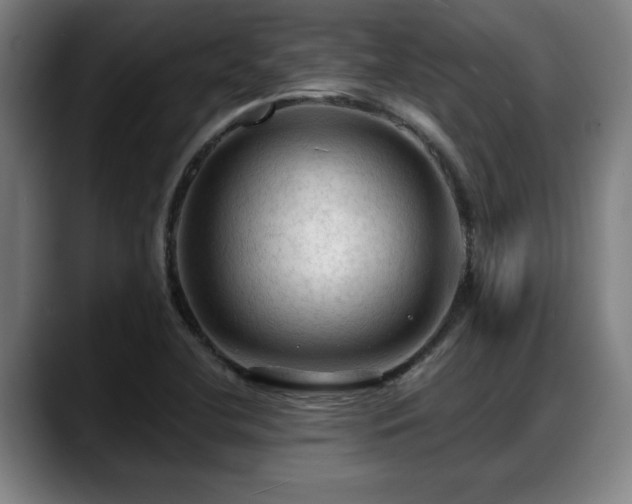 X0000088831412200706141512