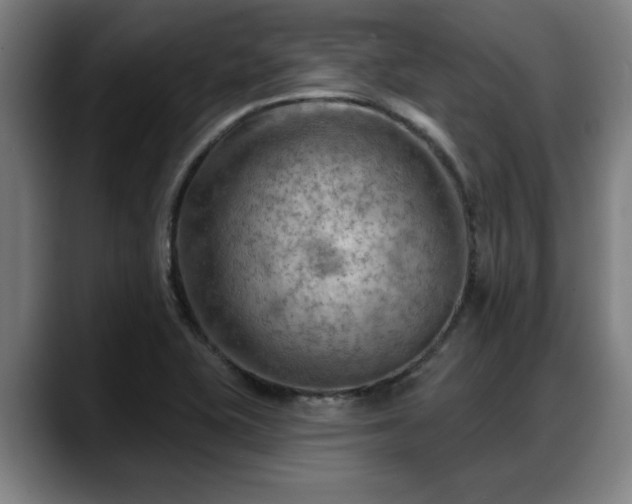 X0000088831415200706141512
