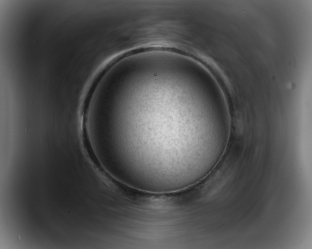 X0000088831416200706141512