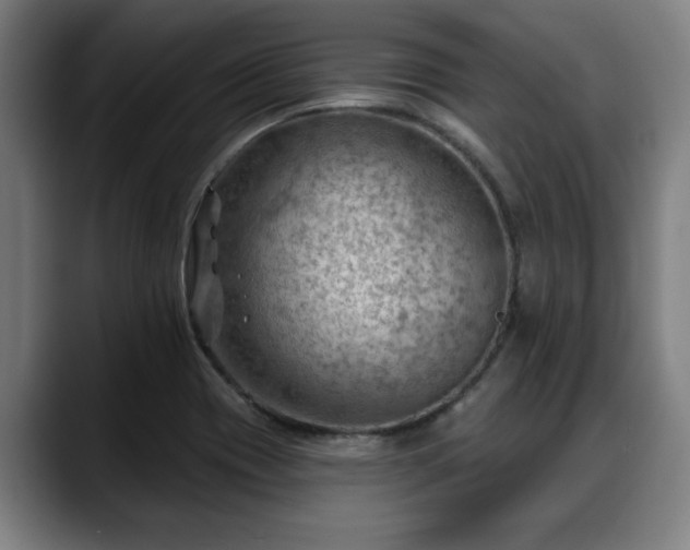 X0000088831417200706141512