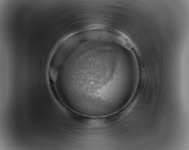 X0000088831418200706141512