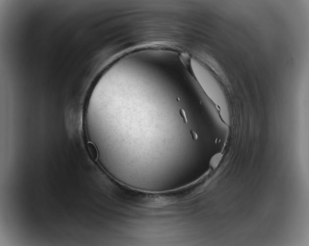 X0000088831420200706141512