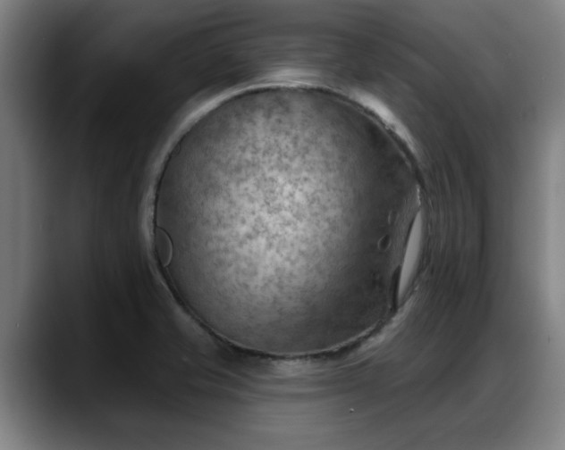 X0000088831421200706141512