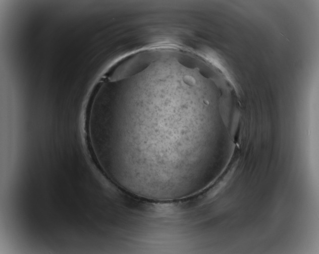 X0000088831422200706141512